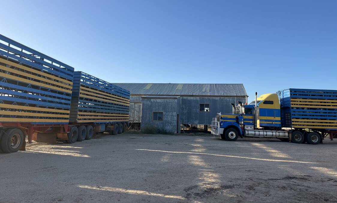 Livestock transporters and farmers were forced to park up and place, feed and water several thousand sheep and cattle, after bushfires closed Eyre Highway last month.