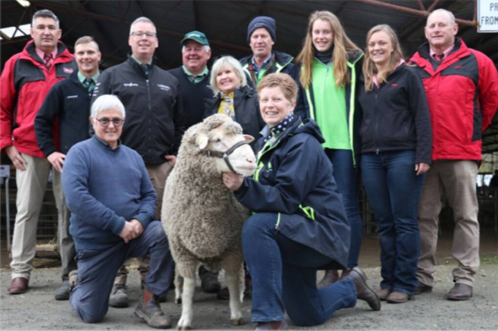QUALITY: The 2019 Mt Pleasant, SA, sale team. Koonik and Hamilton Run Dohne sold 48 rams to an average of $1465. Photo: Supplied