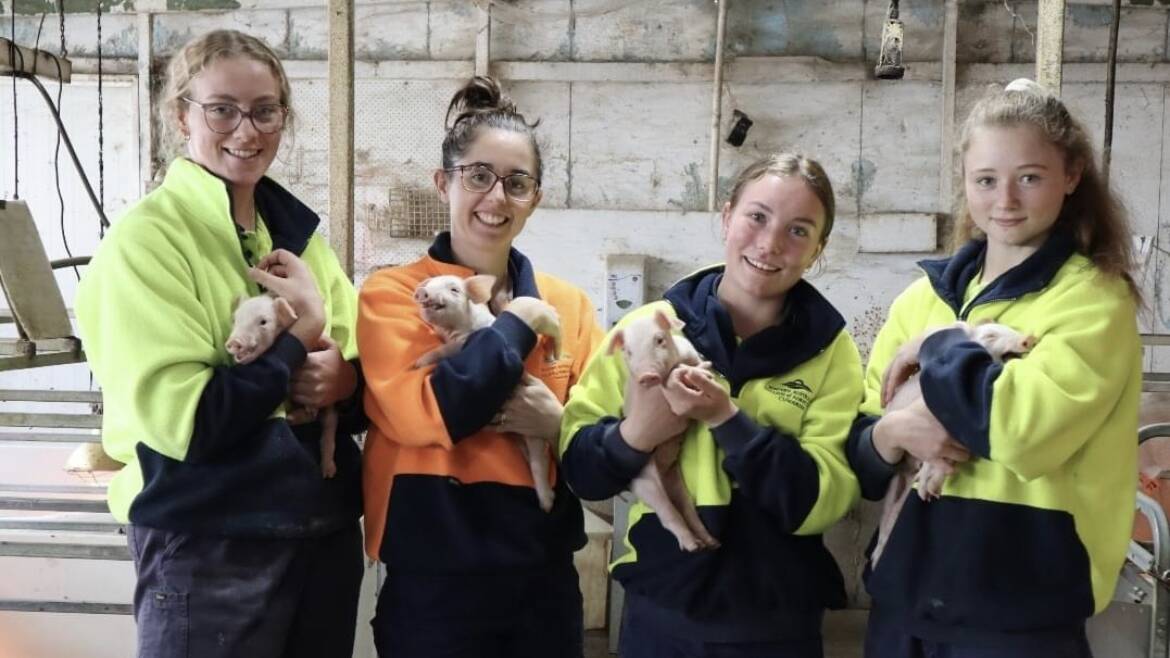  WA College of Agriculture, Cunderdin, 2021 graduate students Shannon Clarke (left), Madison Corsini, Aahlia Faltyn and Lexie Uren.