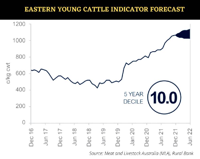 FLATTER CATTLE: Rural Bank expects beef cattle prices to flatten in the first half of 2022.
