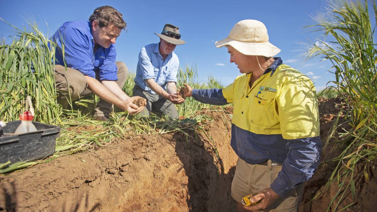 NATURAL CAPITAL: GoFARM found Liam Lenaghan and general manager Nick Raleighwith SE Soil & Water's Christian Bannon inspect one of 7000 soil pits the group has dug in the last five years.