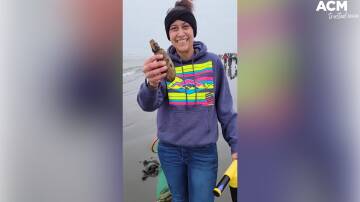 Mother Brandi Smith (pictured) and her family use a clam gun to catch Pacific razor clams on beaches along the coast of Washington State in the US. Photo: @brandicocopuff, TikTok