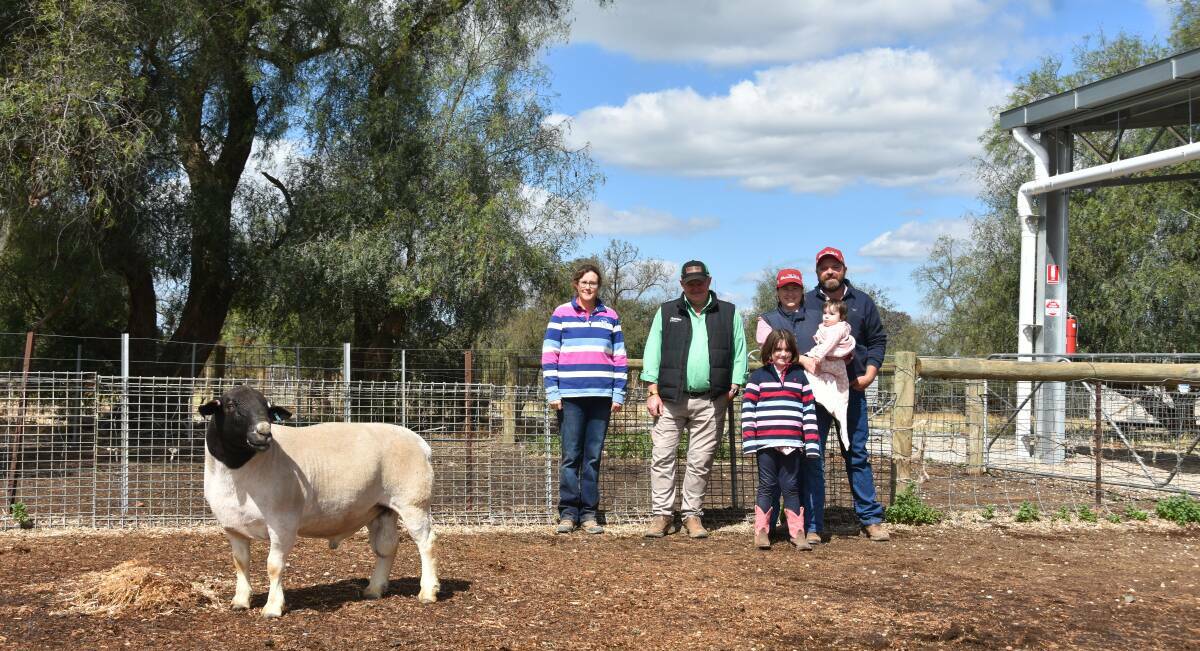 The $10,000, top-priced Dorper ram with Andrea Vagg, Dell African Dumisa Dorpers and White Dorpers, John Settree, Nutrien stud stock and buyers Megan, Dusty (6), River (11 months) and Tom Groat, Conapaira Pastoral Company, Rankin Springs. Picture: Helen De Costa