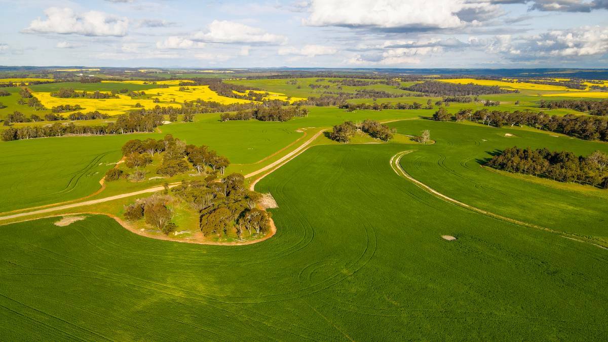 The 8554-hectare Cherylton Farms, near Kojonup in Western Australia, sold for $100 million, in January.