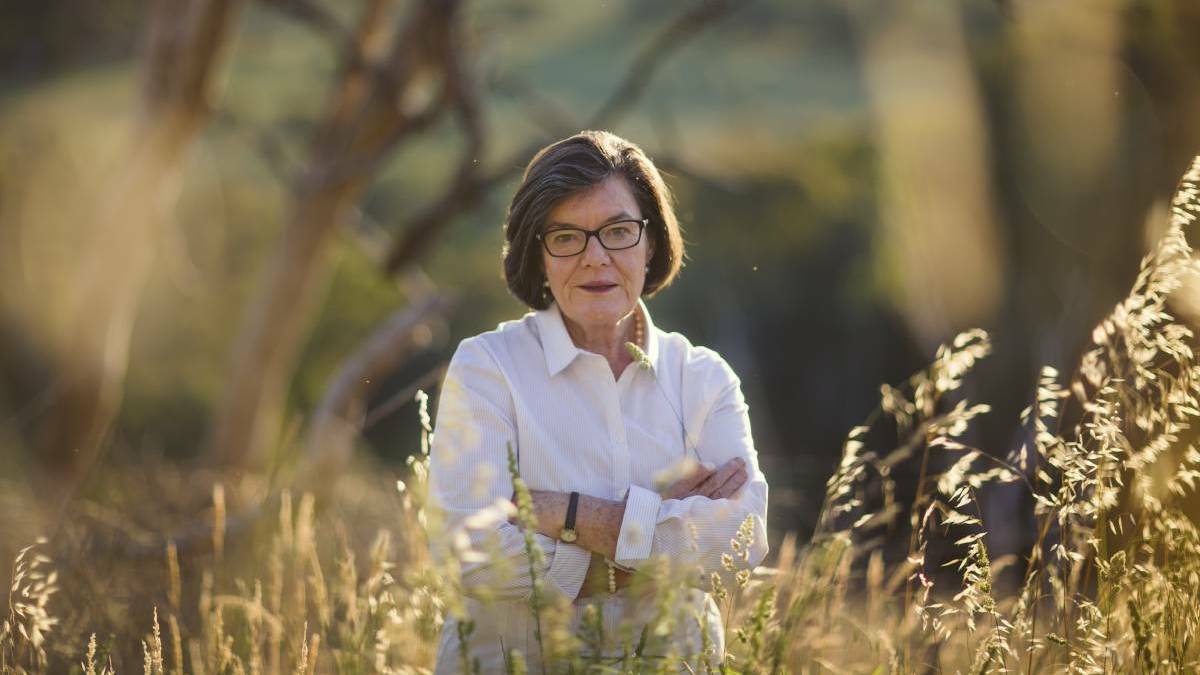 Cathy McGowan oversees research in industries such as chickenmeat, industrial hemp, export hay, rice and honey bees.