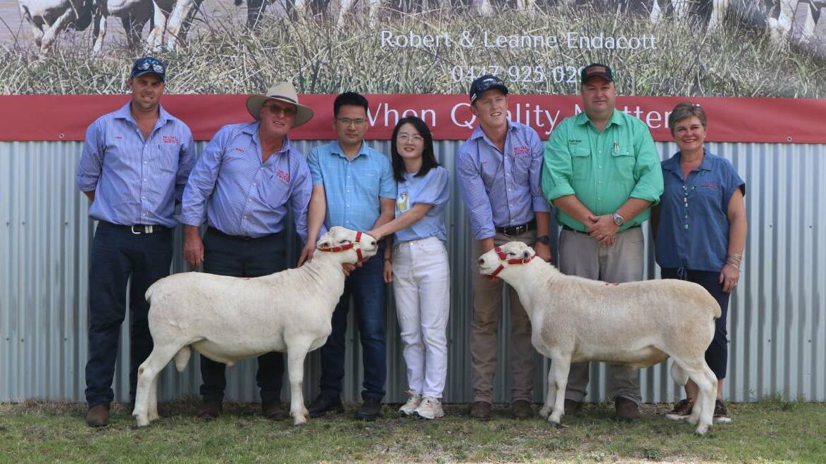 Red Hill's Ethan and Robert Endacott, purchasers Harry and Li Xiu Jiang, Ovatechnology Animal Husbandry, Inner Mongolia, Josh Toole, Brad Wilson, and Lynn Marais, Ovatec, Dubbo, with the $4500 equal top-priced rams.