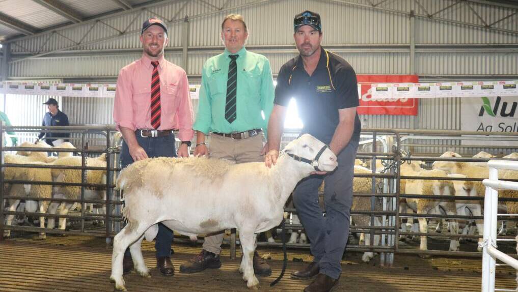 The top-priced UltraWhite ram sold to KL & KK Oliver, Gnowangerup, for $5200. With the ram are Elders auctioneer and Gnowangerup agent James Culleton (left), Nutrien Livestock Breeding representative Roy Addis and Golden Hill stud principal Nathan Ditchburn.