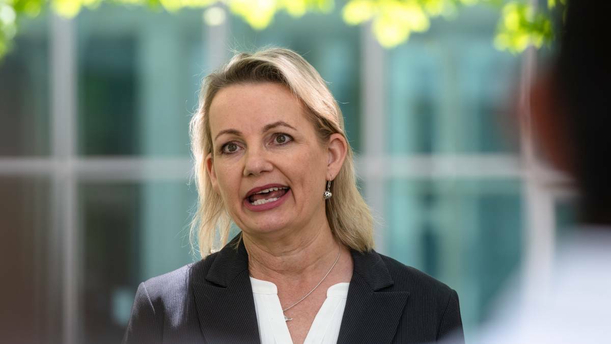 Sussan Ley is the most senior woman in the Federal Opposition.