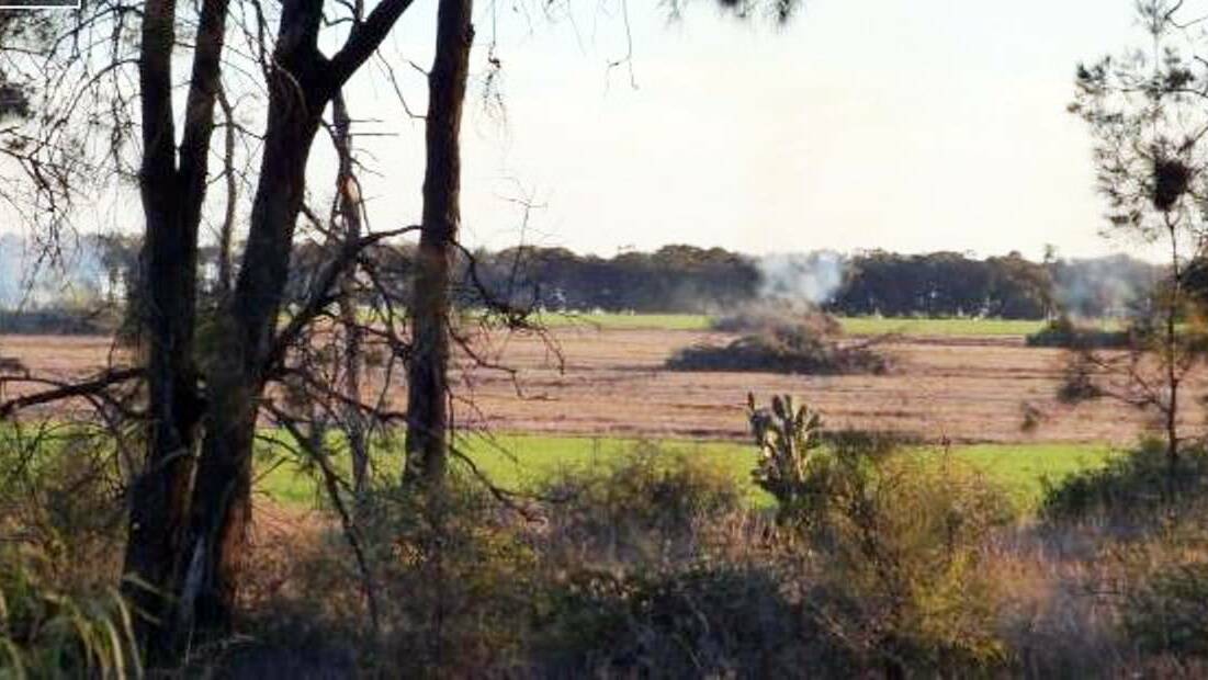The two men convicted over illegally clearing eight hectares of native forest near Mildura were fined a total of $50,000 in fines. 
