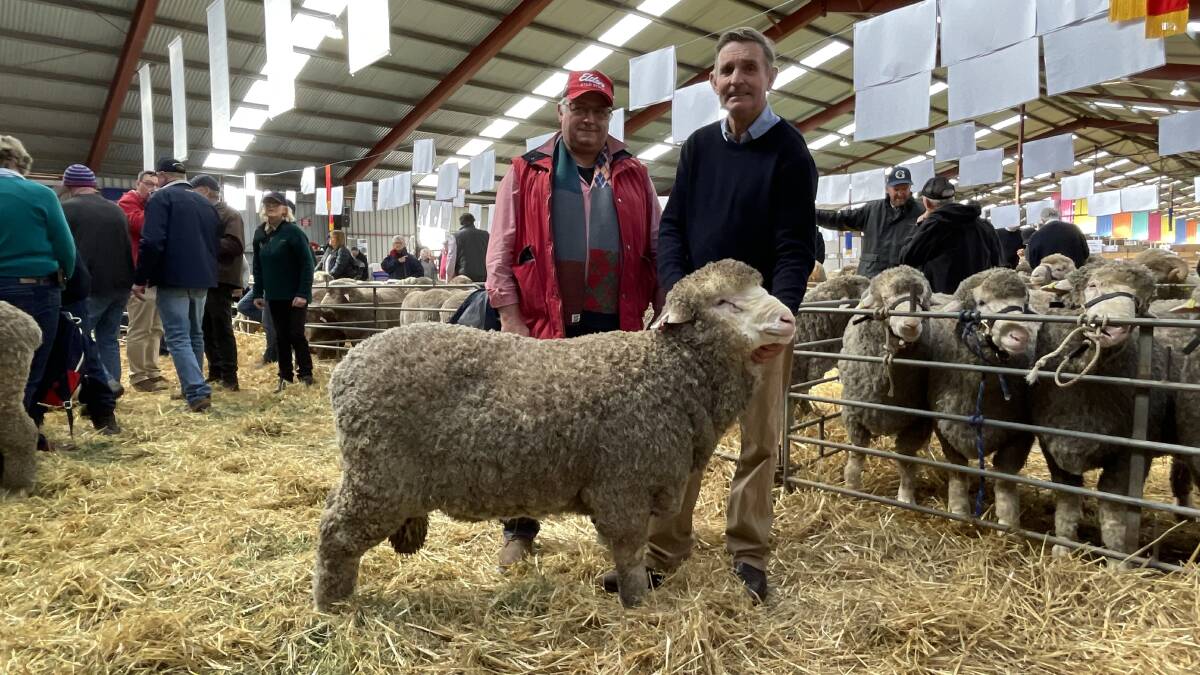 LONG TIME BETWEEN SALES: Elders NSW stud stock and sheep specialist Scott Thrift representing the buyer Warralea, Gairdner, WA, and Yarrawonga principal Steve Phillips, Harden, NSW, with the top-priced ram Lot 72, M22341.
