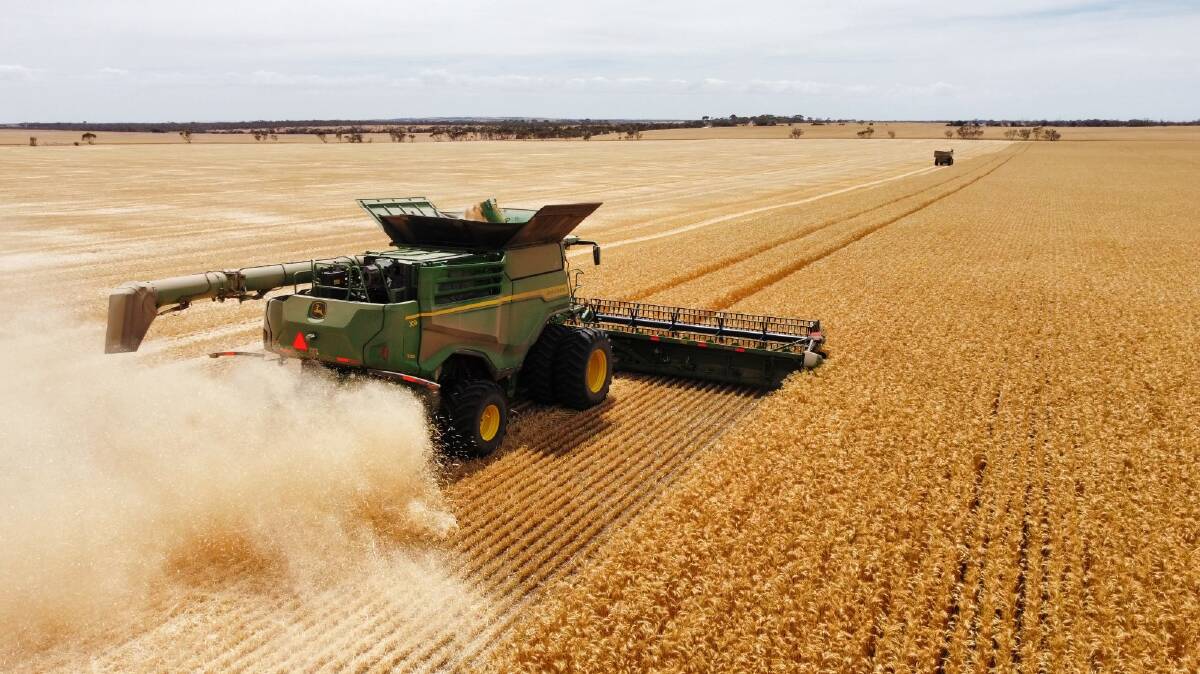 Mr Johns said the header averaged between 4.5km/h and 8.5km/h across wheat and lentil paddocks.
