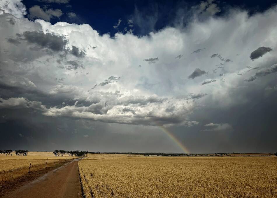Large cloud formations brough large hailstones. Picture by Kellie Bell, Corrigin.
