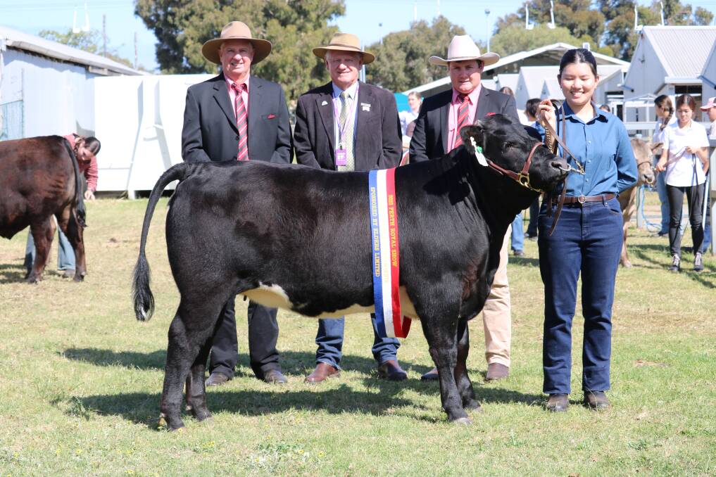With Murdoch Universitys champion lightweight exhibit, this 381kg Limousin-Angus heifer were sponsor Elders representatives Michael Longford (left), Deane Allen and Pearce Watling and Murdoch 4th year veterinary student Ning Ng, Malaysia.