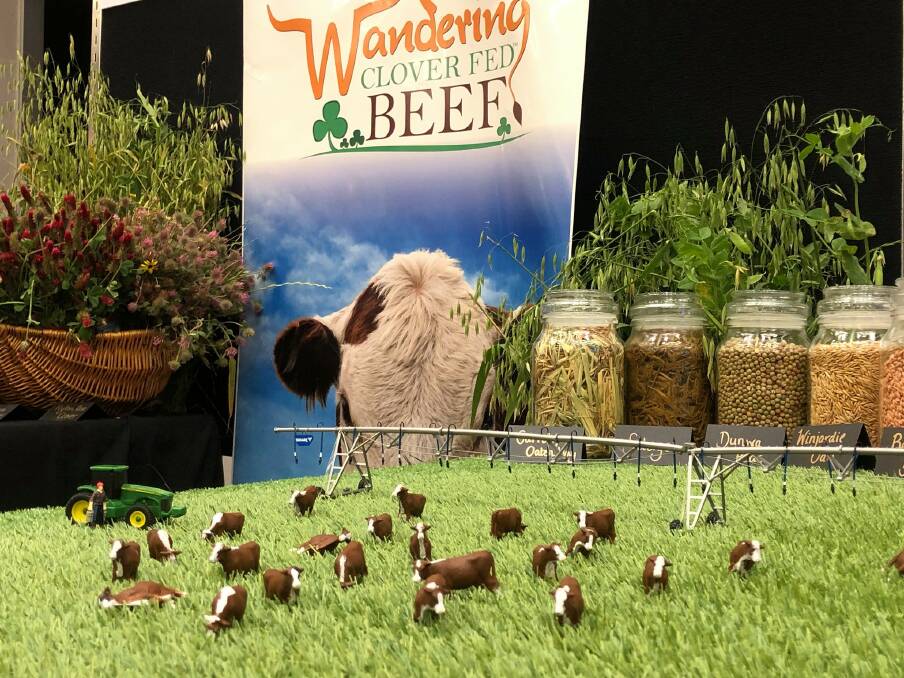 A toy set used to demonstrate the Wandering Clover Fed Beef farming practice. Picture via Wandering Clover Fed Beef Facebook page.