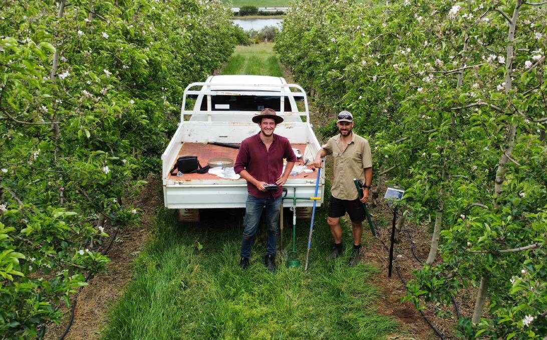 DPIRD research scientist Bill Bateman, left, with Manjimup apple grower Mark Bamess, who will be one of the presenters at the SW WA Hub Science to Practice Workshop. Picture by DPIRD.
