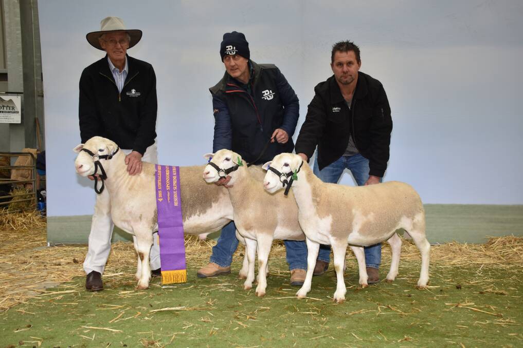 This group of three (one ram and two ewes) UltraWhites from the Hillcroft Farms stud, Popanyinning, was sashed the reserve champion cleanskins group in the interbreed competition. Holding the group were Hillcroft Farms stud principal Dawson Bradford (left), Rodney Rose, Rosedale UltraWhite stud, Swan Hill, Victoria and Jason Randall, Shepparton, Victoria.