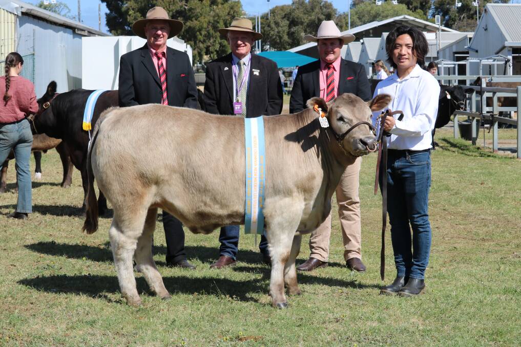 With Murdoch Universitys reserve champion mediumweight, this 405kg Limousin-Murray Grey steer were sponsor Elders representatives Michael Longford (left), Deane Allen and Pearce Watling and Murdoch second year veterinary student Caleb Ong, Singapore.