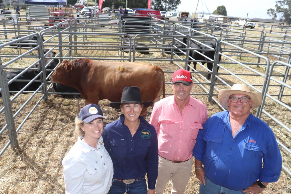 With the top-priced $13,000 bull, Summit Tetris T0074, bought by McVay Pastoral Co, Esperance, is Summit Gelbvieh stud co-principals Alexandra Riggall (left) and Clare King, with Elders, Mt Barker agent Dean Wallinger and Zoetis area manager and sponsor Ben Fletcher.