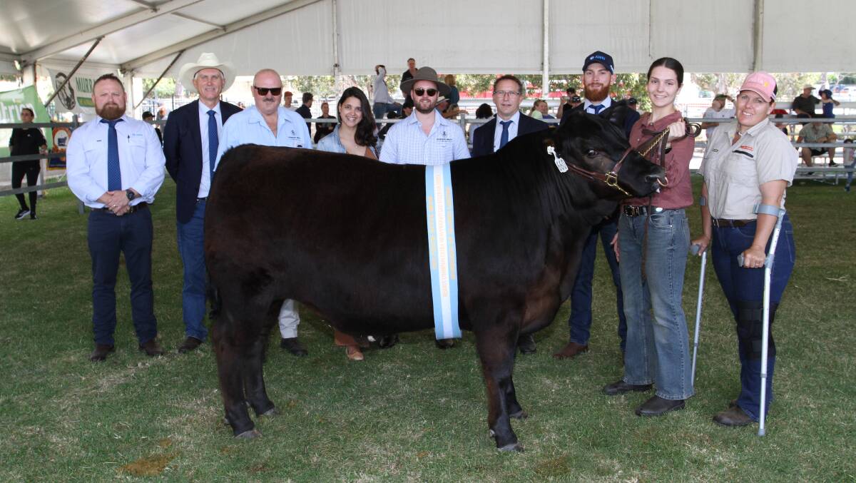 The reserve champion extra heavyweight steer or heifer exhibited by Murdoch University sold to Johnson Meats for $4800. With the 578kg Angus steer was AWN Livestocks Jay MacDonald (left) and Phil Petricevich, Greg Jones, Juliana and Daniel Russell, Johnson Meats, AWN Livestocks Greg Tilbrook and Daniel Johns and Mackenzie Barnett and Crystal Henderson, Murdoch University.