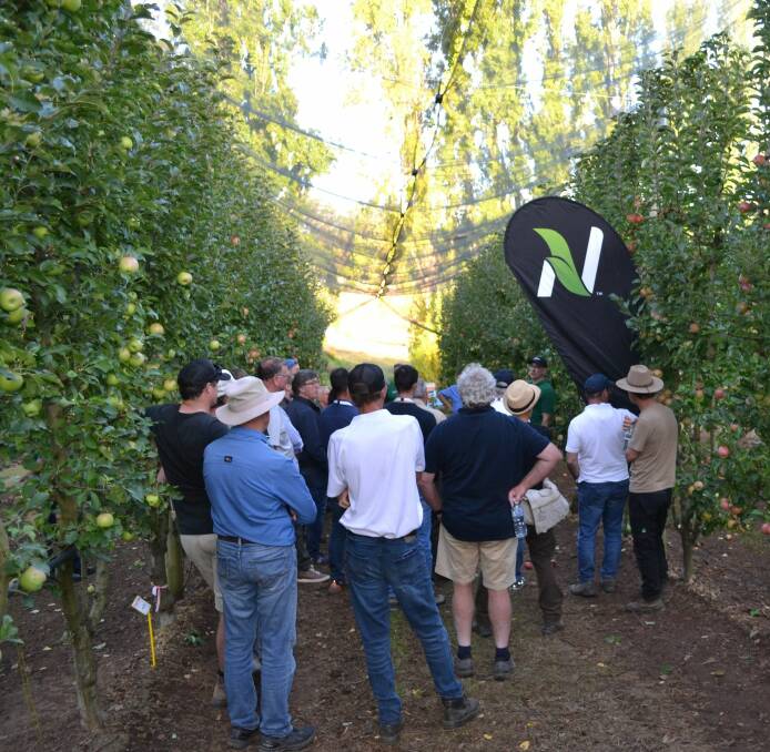 Mr Paton, agronomist with Nutrien Ag Solutions, presenting to the grower group at a recent field day.