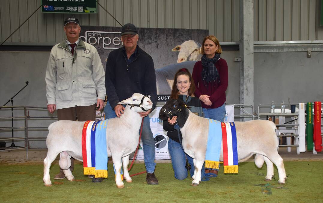 The Kaya stud, Narrogin, exhibited the supreme White Dorper and Dorper exhibits at the Australian Sheep & Wool Show at Bendigo, Victoria, last week. With the two supreme champions were Dorper and White Dorper judge Wicus Cronje (left), Mildura, Victoria, Kaya stud principals Adrian and Rose Veitch and their daughter Meaghan. The White Dorper ram was sashed the grand champion and champion senior White Dorper ram while the Dorper ram won the grand champion and champion senior Dorper ram ribbons.