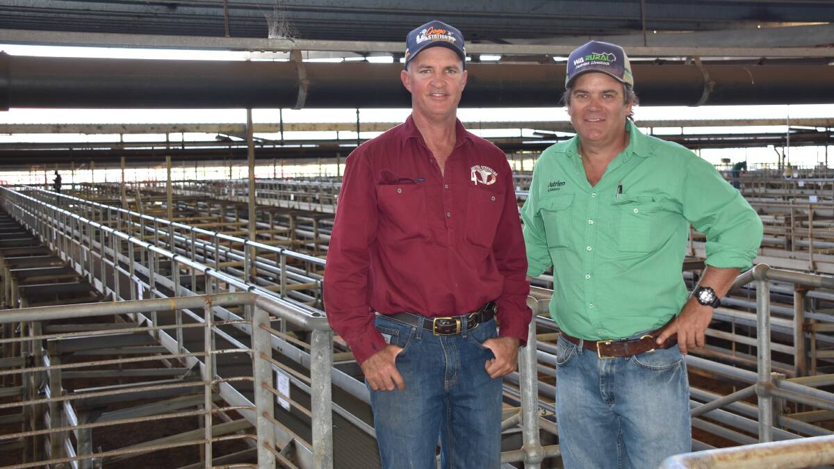 Discussing the market were Dean Ryan (left), who was one of the volume buyers on the day purchasing for Central Stockcare and Livestock Shipping Services and Nutrien Livestock Pilbara and Gascoyne agent Richard Keach.