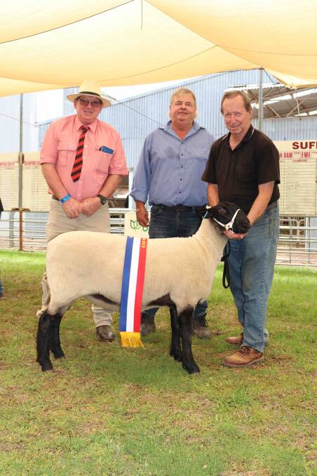 Elders stud stock agent Michael ONeill (left) and judge Grant Bingham, Williams, with the champion Suffolk ewe, which also went on to win the supreme champion all breeds sheep, exhibited by Ray Batt, Goldenover stud, Cuballing.