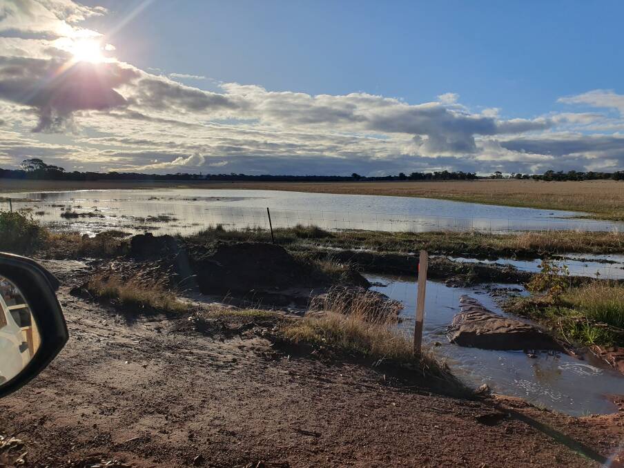 A picture sent in by Mathew Ledwith, at a paddock in Jitarning on June 1 after 70mm of rainfall. 