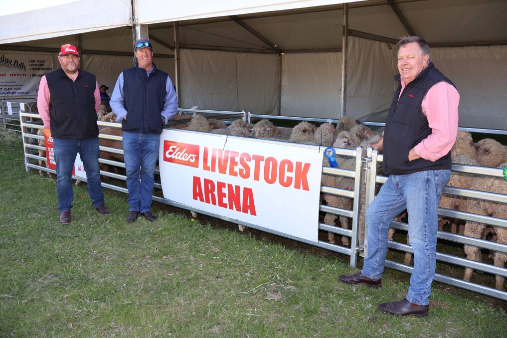 Elders district wool manager Brad Groves (left), competition judge and Walkindyer Poll Merino stud principal, Nathan Teakle, and Elders, Muchea livestock manager, Graeme Curry, with the winning pen of ewe hoggets.