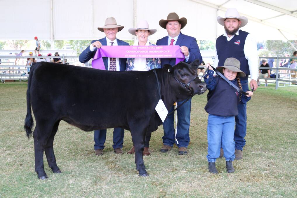 With the grand champion interbreed calf, Angus heifer Tullibardine Fiona U68 were judges Ted Laurie, Knowla Livestock Angus, Moppy, New South Wales, Kerrie Sutherland, Thologolong Murray Grey and Angus, Albury, New South Wales and Hayden Green, Summit Livestock Angus, Limousin and Black Simmental, Uranquinty, New South Wales, with Tullibardine farm manager Morgan Gilmour and daughter Harriet, 6, Narrikup.