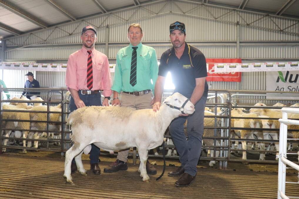 The top-priced UltraWhite ram sold to KL & KK Oliver, Gnowangerup for $5200. With the ram is Elders auctioneer and Gnowangerup agent James Culleton (left), Nutrien Livestock Breeding representative Roy Addis and Golden Hill stud principal Nathan Ditchburn.