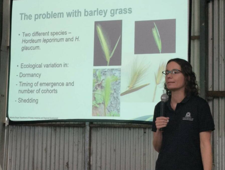 DPIRDs Dr Catherine Borger explaining the difficulties around barley grass.