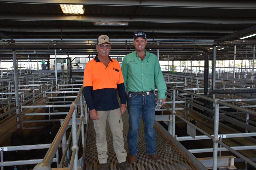 Vendor Jerry Ogerley (left), Wannamal, caught up with Nutrien Livestock, pastoral agent Shane Flemming before the sale. Mr Ogerly sold Simmental cross steers to $1128 and Simmental cross heifers to $807 while Mr Flemming was a volume buyer in the sale purchasing for Kalgrains, Wannamal and International Livestock Exports.