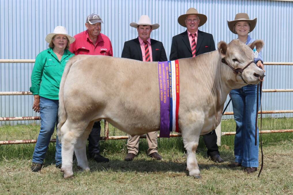 With the grand champion and champion heavyweight led steer or heifer were preparers Judy (left) and Peter Milton, Dardanup, Elders auctioneer Pearce Watling and commercial cattle manager Michael Longford and exhibitor Ella Clarke, Harvey. The 520kg Square Meater steer was bred by the Giglia family, Meta Park stud, Bridgetown and later sold at auction for $8200 to The Meat Machine, Maddington.