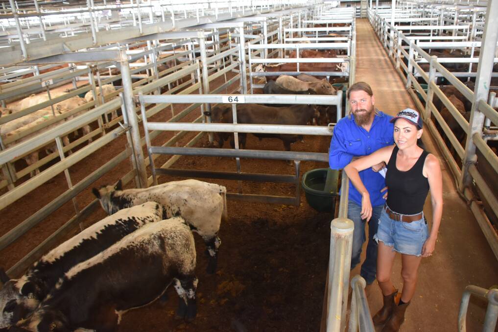 Vendors Tristan and Erica Ward, Kaloom Pastoral, Gidgegannup, looked over some of their Speckle Park steers they had in the offering. They sold 12 Speckle Park and Murray Grey steers to a top of $1112.