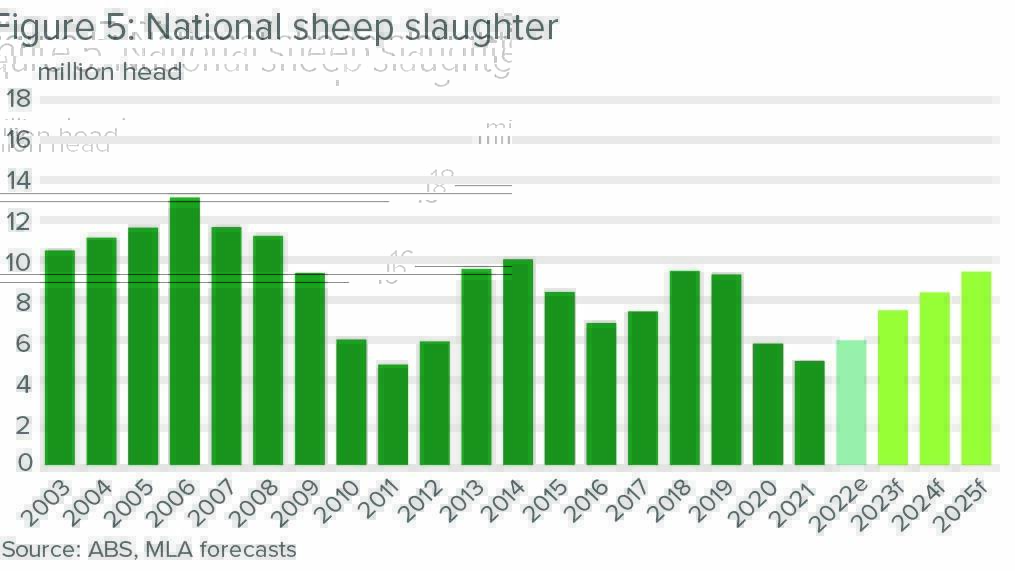 Positive signs for WA sheep and wool