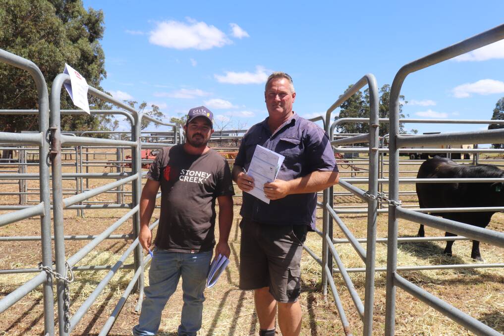 
Looking over bulls prior to the sale were Robert Potter (left), Manypeaks and Kim Ravenhill, Tingledale.