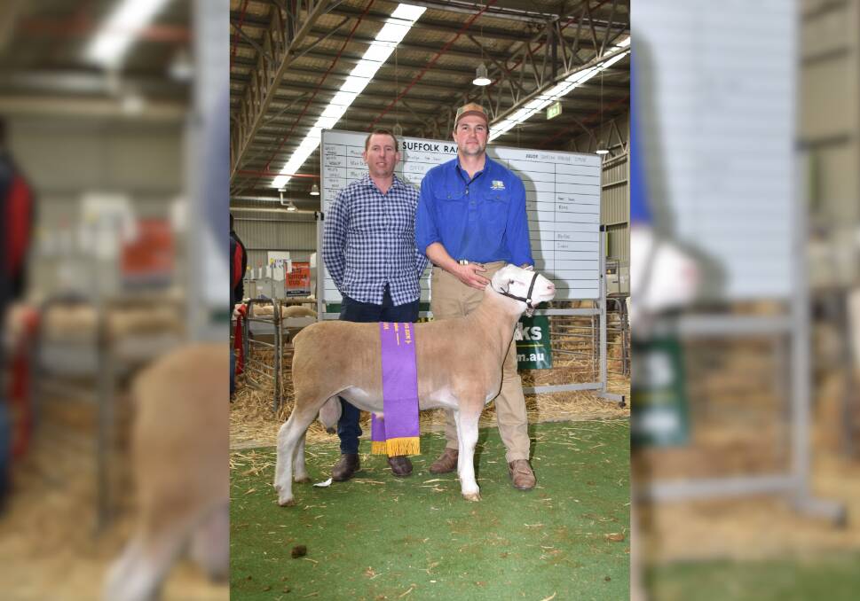 The Yonga Downs stud, Broomehill, exhibited the reserve junior champion White Suffolk ram. With the ram were judge Damien Hawker (left), Omad stud, Serviceton, Victoria and Yonga Downs principal Brenton Addis.