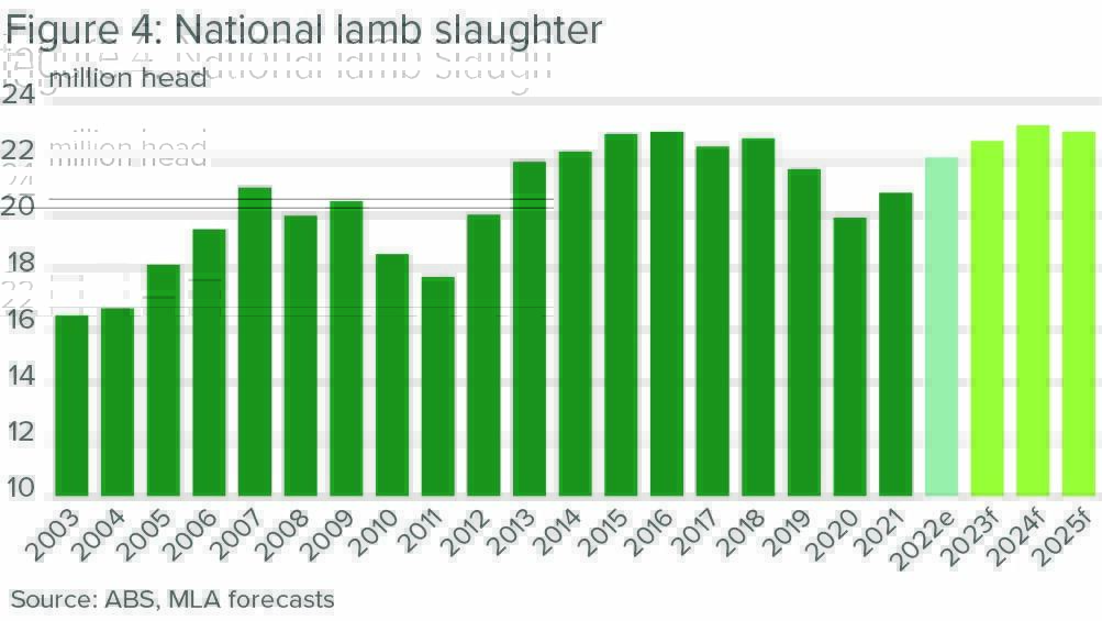 Positive signs for WA sheep and wool