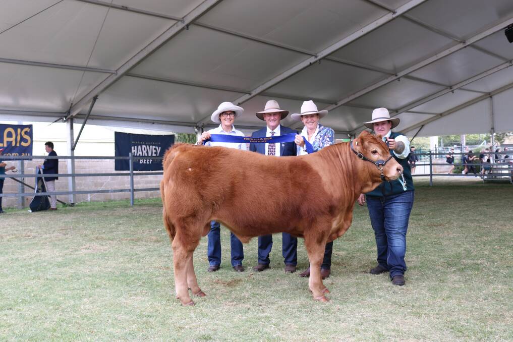 With the champion interbreed bull calf, March-born Limousin, Aldgate Uno were Wendy Gould (left), representing sponsors WA Santa Gertrudis breeders, judges Ted Laurie and Kerrie Sutherland and Aldgate stud co-principal Penny Terpstra, Waroona.