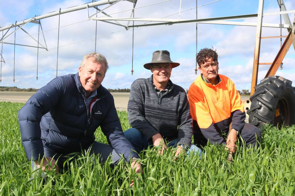WA Environment Minister Reece Whitby (left), Willgrow Farming owner Valkan De Villiers and Go Organics managing director Donovan Farrell taking a closer look at the soil quality on the Willgrow farm.