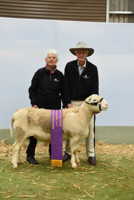 This ram from the Hillcroft Farms UltraWhite stud, Popanyinning, was sashed the reserve supreme interbreed champion Australian cleanskin exhibit. With the ram were stud principals Greta and Dawson Bradford.