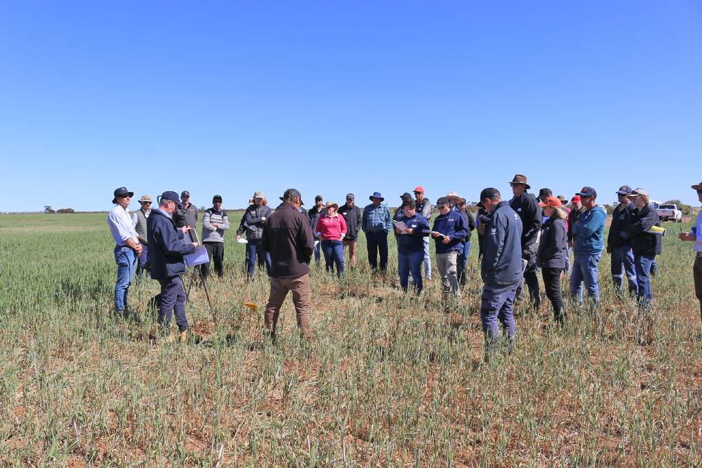Wubin grower Boyd Carter, David Cameron, Farmanco and Glen Riethmuller, DPIRD, presented the Boyds farmer-scale evaluation of row spacing and sowing speed.