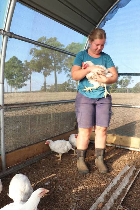 Emily Johnson inside her homemade chicken tractor, which is easy to move across the paddock. Picture by Perri Polson