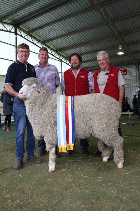 With the reserve grand champion Poll Merino ram and champion fine-medium wool Poll Merino ram exhibited by the Westerdale stud, McAlinden were stud principal Peter Jackson (left) and judges Paul Norrish (left), Angenup stud, Kojonup, Steven Bolt, Claypans stud, Corrigin and Preston Clarke, Perth.