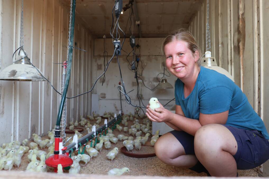 I love caring for my little chickens, Ill hold them and talk to them. You come to realise that you need to look after the animals for them to have a good life, and then that good life turns into good meat, Emily Johnson said. Picture by Perri Polson