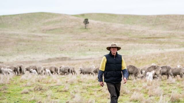 Mr McErvale comes from generations of sheep farming in the Carnham-Lexton area of Victoria.
