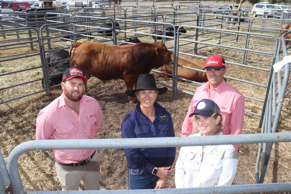 With the second top-priced bull, Summit Billy Ray T0141, which was successfully purchased by WC, BE & DC Avery, Scott River for $10,500, were Elders, Margaret River agent Brendan Millar (left), Summit Gelbvieh stud co-principals Clare King and Alexandra Riggall, and Elders, Mt Barker agent Dean Wallinger.