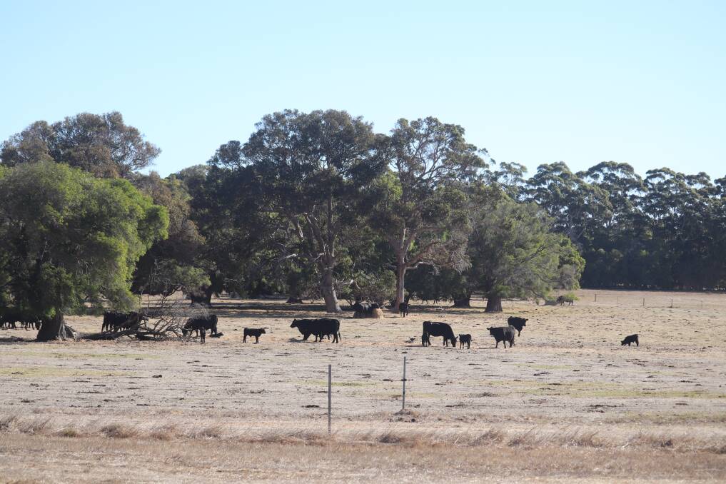 Drought conditions persist across the State. Picture by Perri Polson.