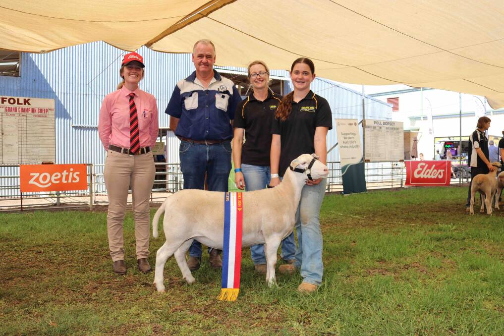 The champion UltraWhite ewe from Golden Hill stud, Kukerin, pictured with Elders representative Lauren Rayner (left), judge Adrian Veitch, Narrogin, and Julie and Matilda Ditchburn from Golden Hill stud.